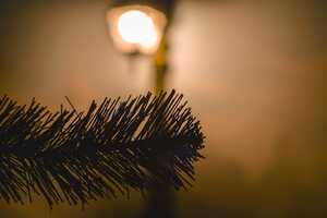 Фотография квеста Хроники Нарнии от компании Нас закрыли (Фото 1)