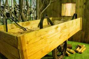 Фотография квеста Хроники Нарнии от компании Нас закрыли (Фото 3)